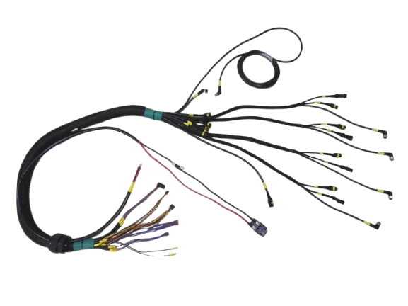 cloom autro wire harness