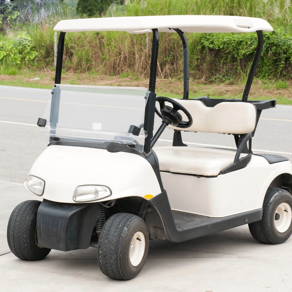 fleet and commercial golf carts